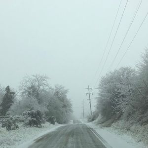 Meet your Posher, Lexi